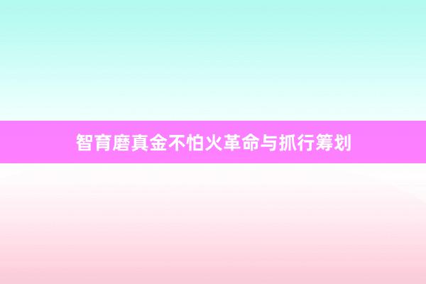 智育磨真金不怕火革命与抓行筹划