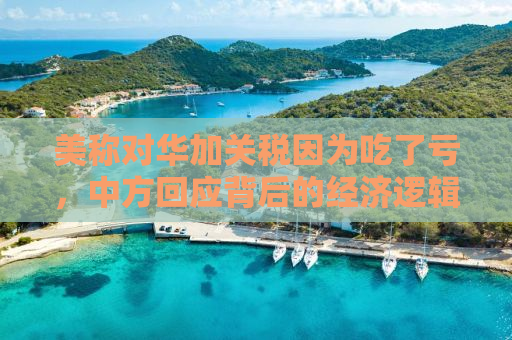 美称对华加关税因为吃了亏，中方回应背后的经济逻辑与策略分析